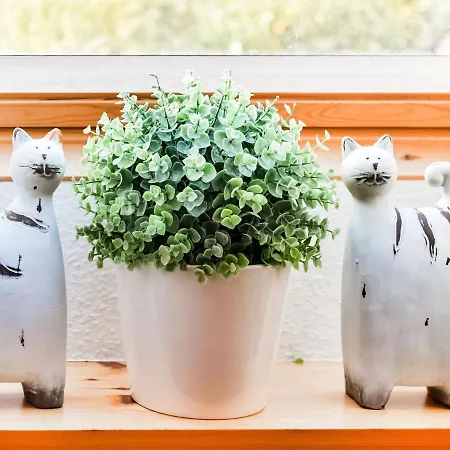 Сasa de vacaciones Modernes In Mit Sauna *