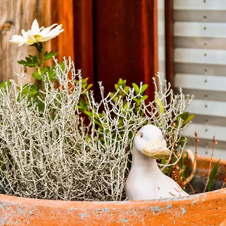 Modernes In Mit Sauna Thorstorf