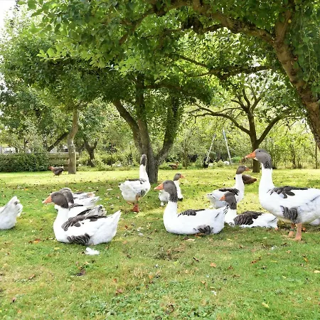 Modernes In Mit Sauna * Thorstorf