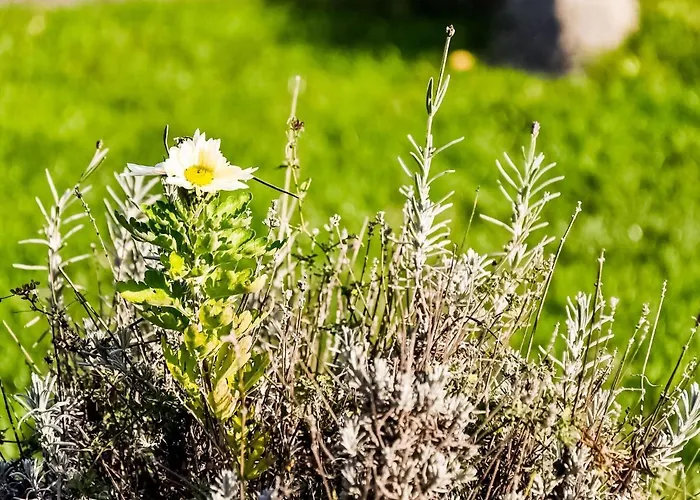 Σπίτι διακοπών Modernes In Mit Sauna *