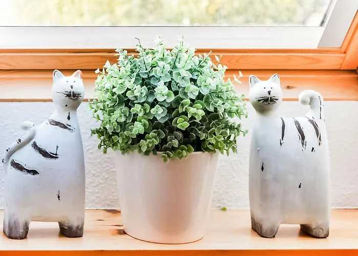 Σπίτι διακοπών Modernes In Mit Sauna *