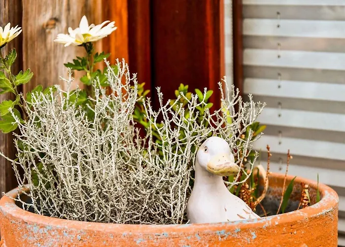 Modernes In Mit Sauna Thorstorf